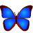 bkViewerv5.0.7.0 官方正式版